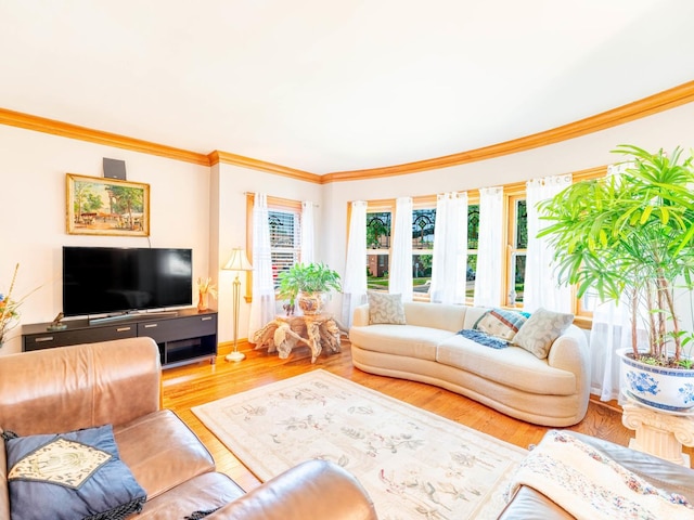 living area featuring wood finished floors and crown molding