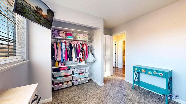950 Donnelly Pl, Mchenry, IL 60050 - bedroom with carpet floors and a closet