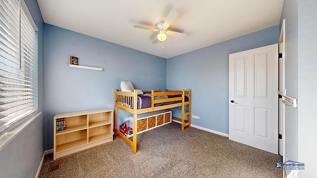 950 Donnelly Pl, Mchenry, IL 60050 - bedroom with carpet and ceiling fan