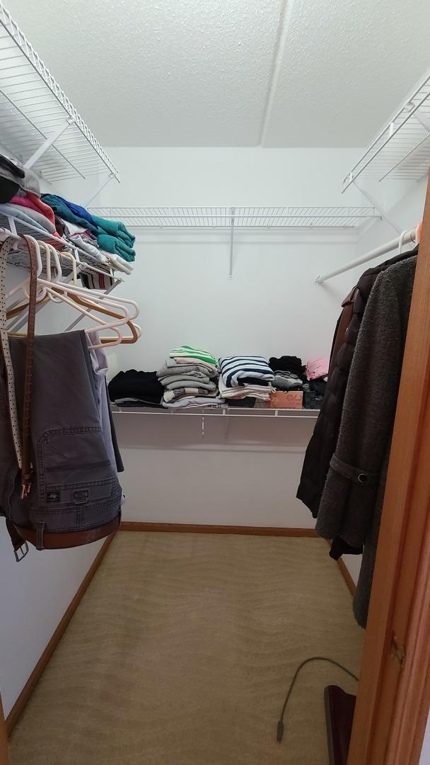 spacious closet with carpet flooring