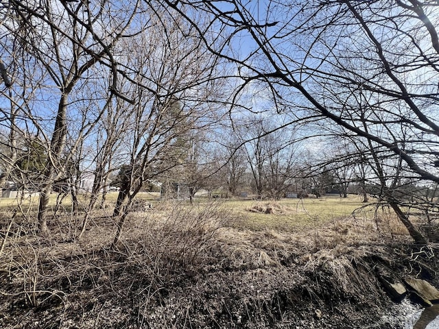 view of local wilderness