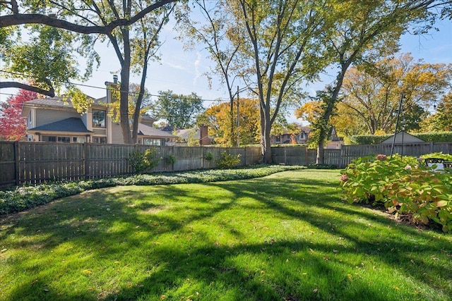 view of yard with a fenced backyard
