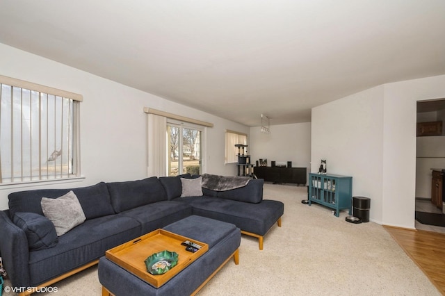 living room featuring wood finished floors