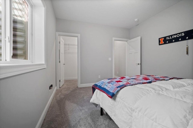 bedroom with baseboards, carpet floors, multiple windows, and a walk in closet