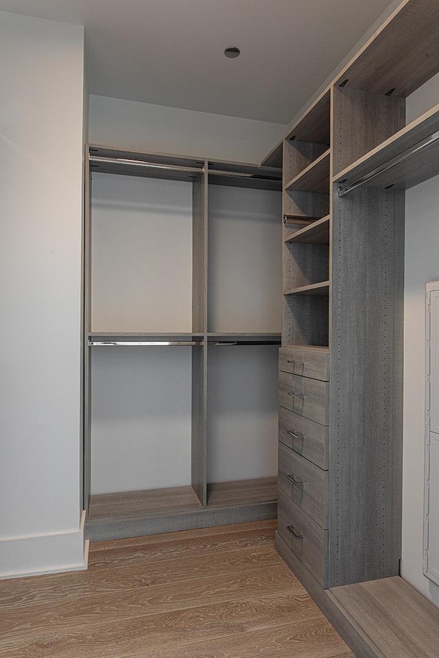 walk in closet featuring wood finished floors