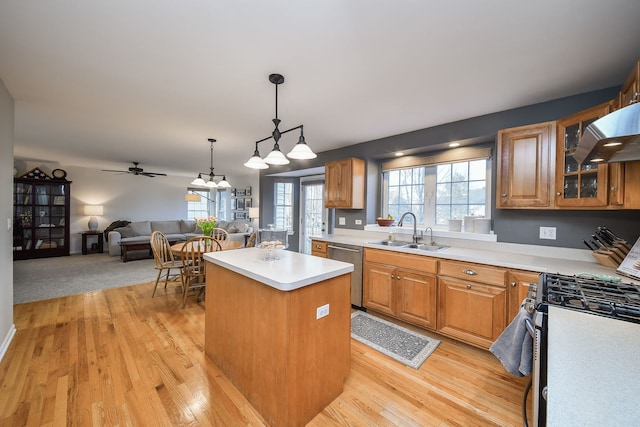 kitchen featuring light wood finished floors, a sink, under cabinet range hood, appliances with stainless steel finishes, and a center island