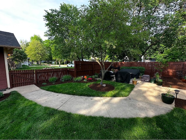 view of yard with a patio and a fenced backyard