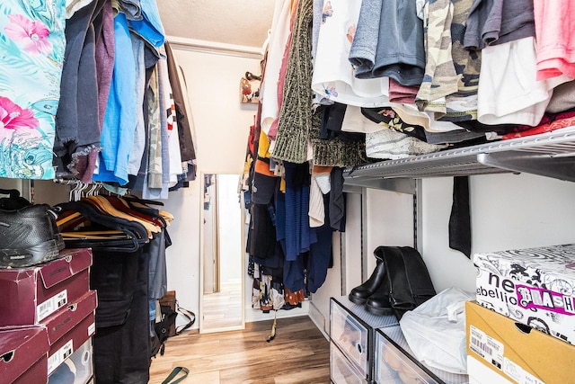 walk in closet with wood finished floors