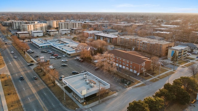 bird's eye view