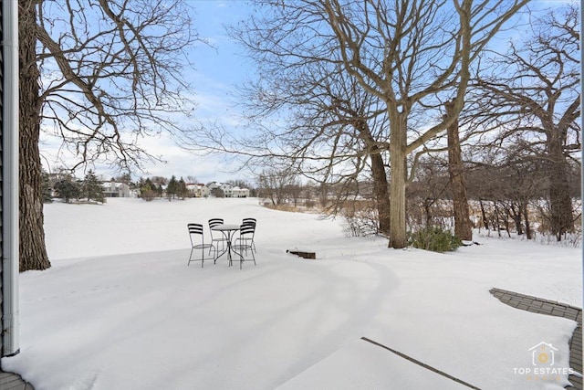 view of yard layered in snow