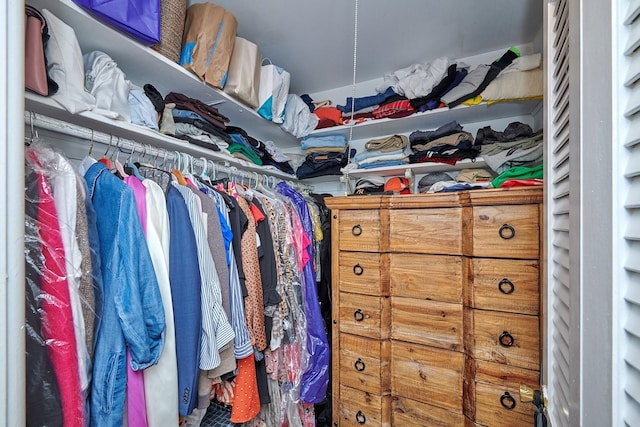 view of walk in closet