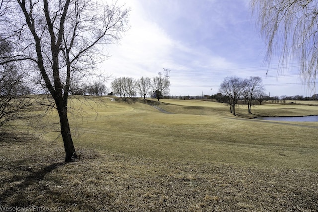 view of home's community with a yard