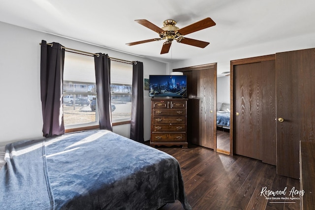 bedroom with two closets, ceiling fan, and wood finished floors