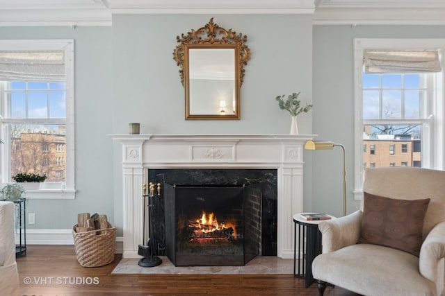 details featuring baseboards, wood finished floors, a fireplace, and crown molding