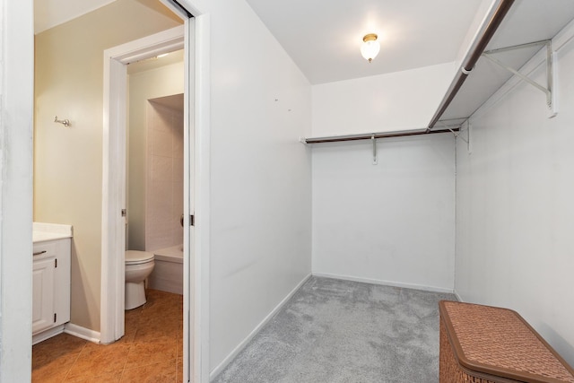 spacious closet with light carpet