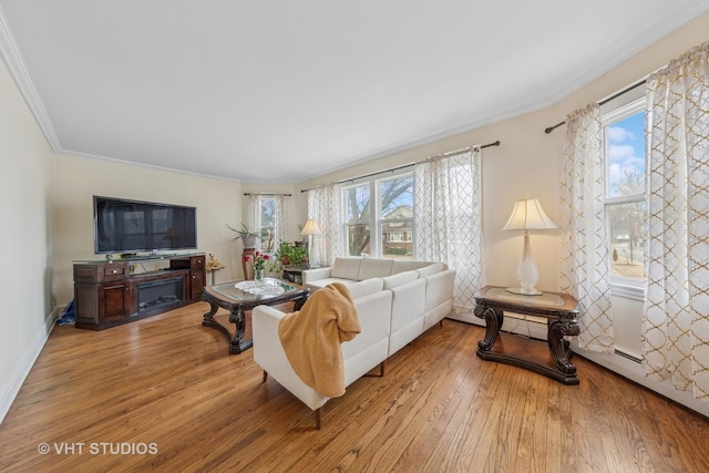 living area with a fireplace, a healthy amount of sunlight, wood finished floors, and crown molding