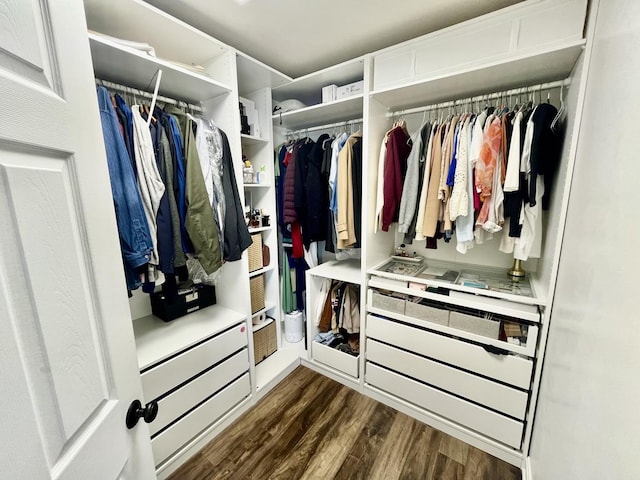 walk in closet featuring dark wood-style floors