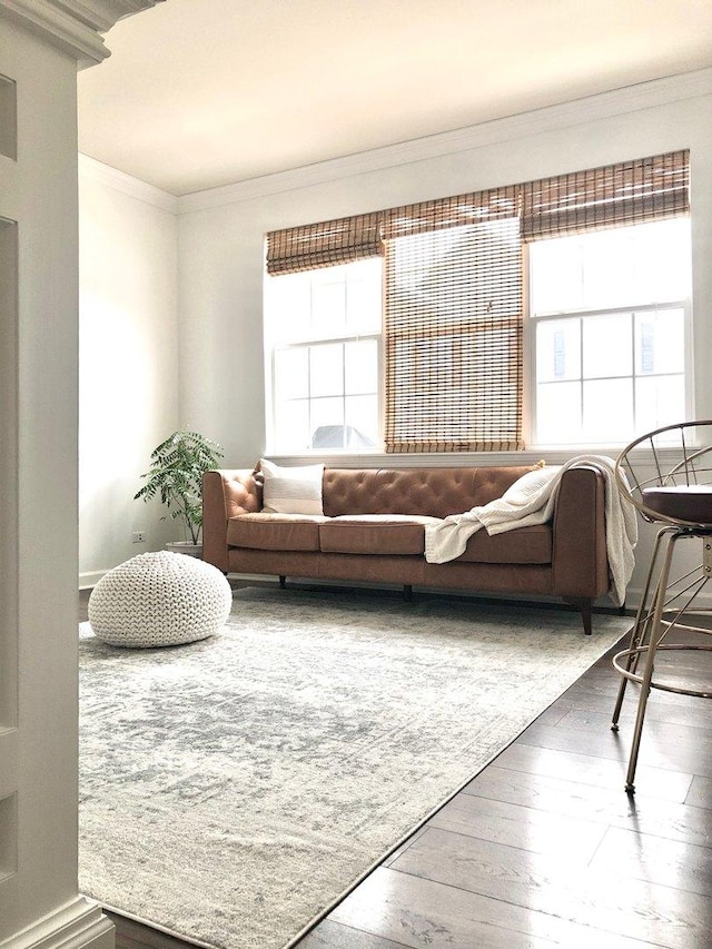 living room with hardwood / wood-style flooring, ornamental molding, and a wealth of natural light