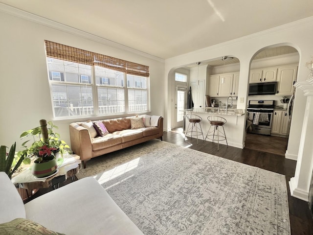 living room featuring ornamental molding, dark wood-type flooring, and arched walkways