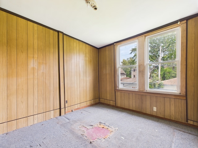 6725 S Justine St, Chicago, IL 60636 - spare room with carpet and wooden walls