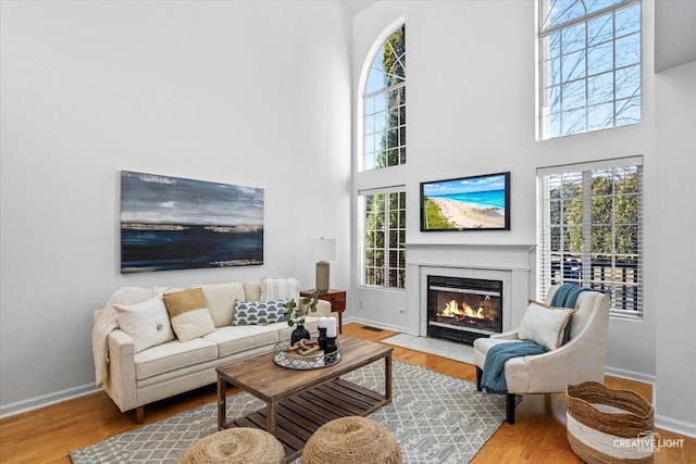 living area with a fireplace with flush hearth, baseboards, and wood finished floors