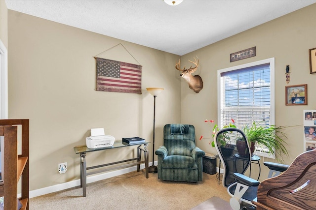 office space featuring baseboards and carpet floors