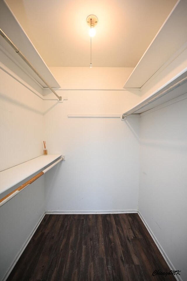 spacious closet with dark wood finished floors