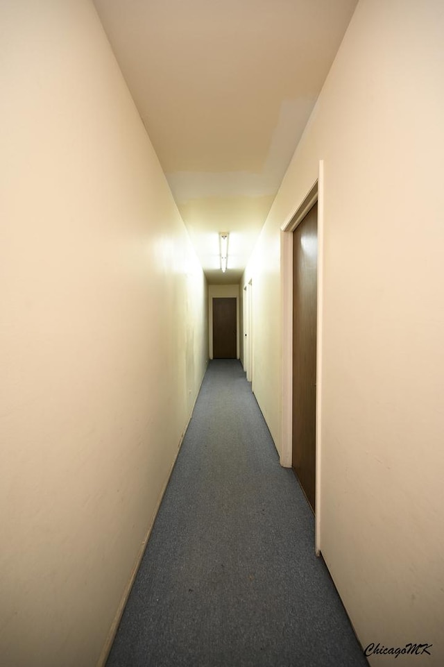 hall featuring carpet flooring