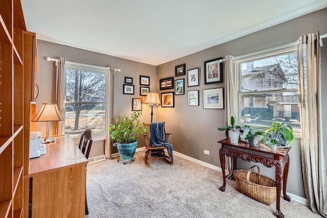 office area featuring carpet flooring and baseboards