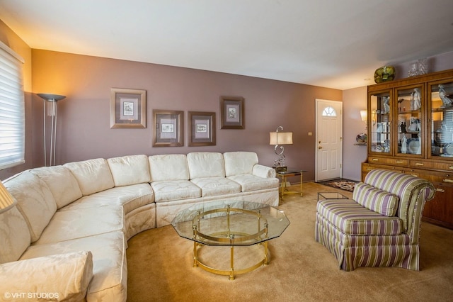 living area featuring carpet floors