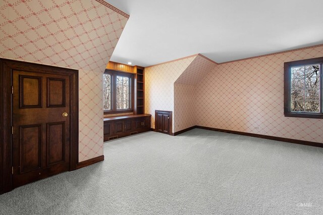 27W161 Mack Rd, Wheaton, IL 60189 - photo 28