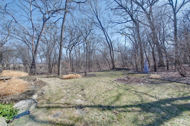 27W161 Mack Rd, Wheaton, IL 60189 - view of grassy yard
