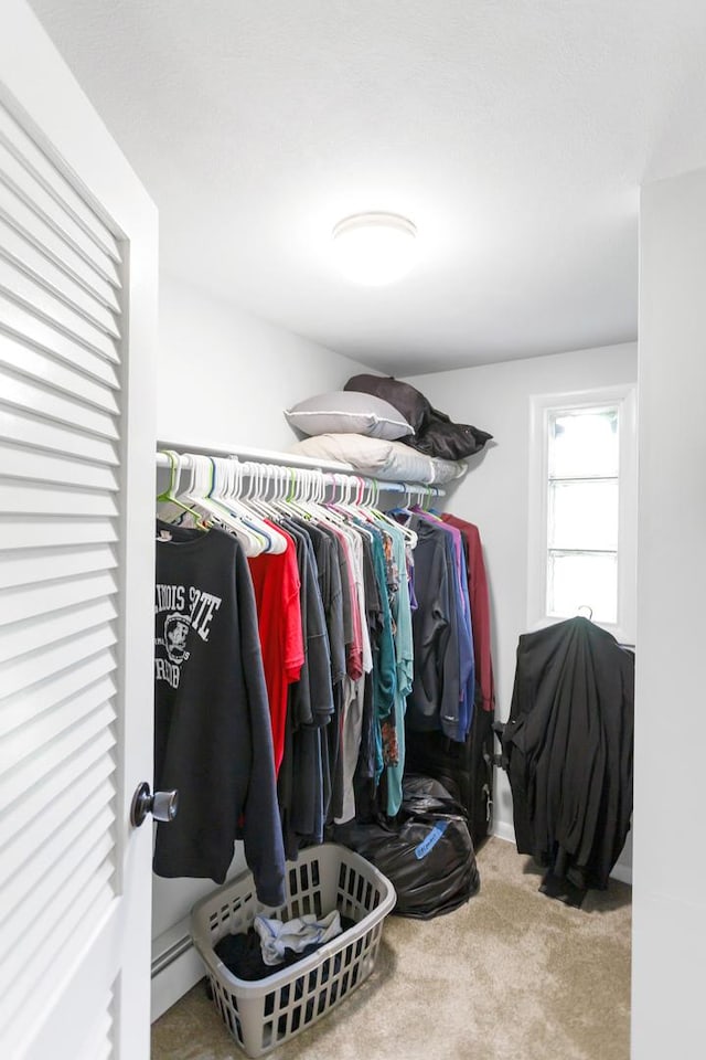 walk in closet featuring carpet floors