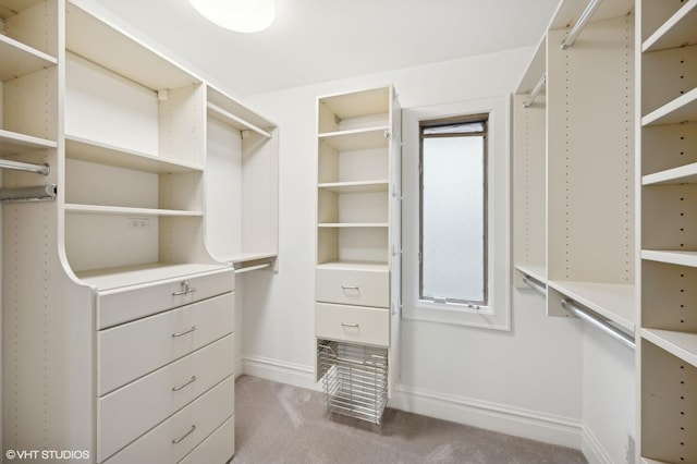 spacious closet featuring carpet flooring