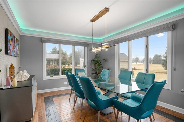 dining area featuring hardwood / wood-style floors, plenty of natural light, and baseboards