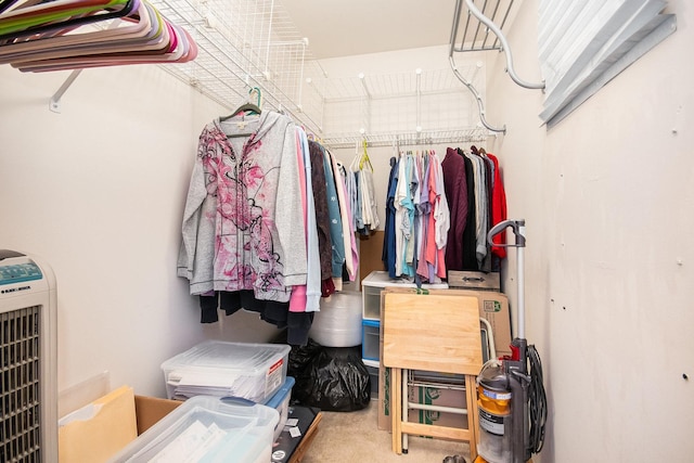 spacious closet featuring carpet floors