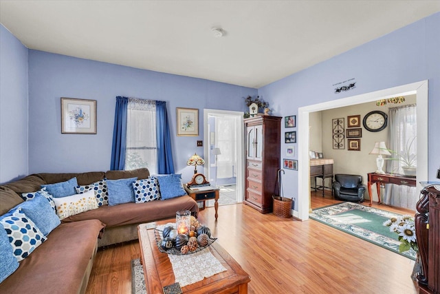 living area featuring light wood finished floors and a wealth of natural light