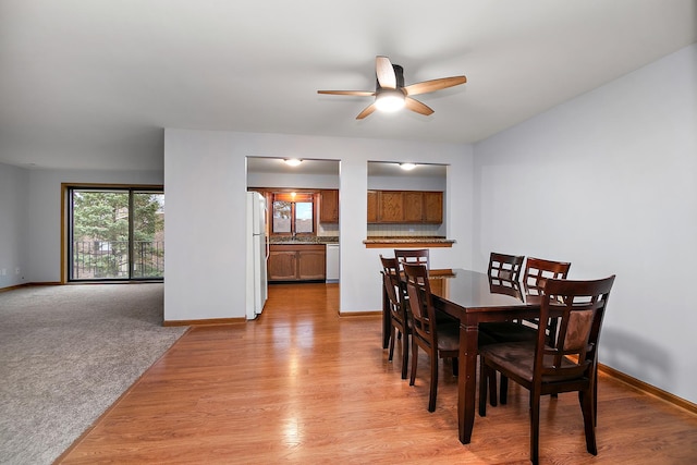 dining room with ceiling fan, light wood finished floors, light carpet, and baseboards