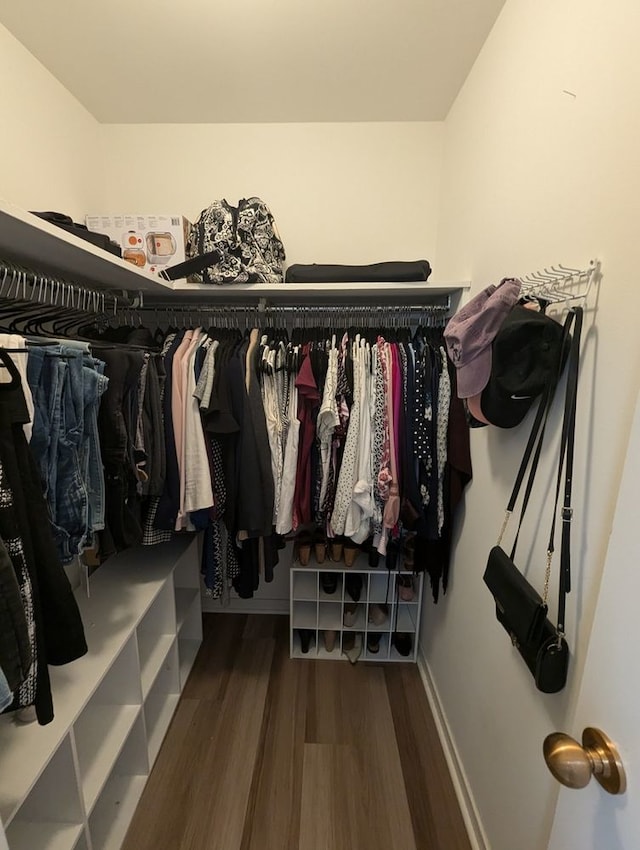 walk in closet featuring wood finished floors