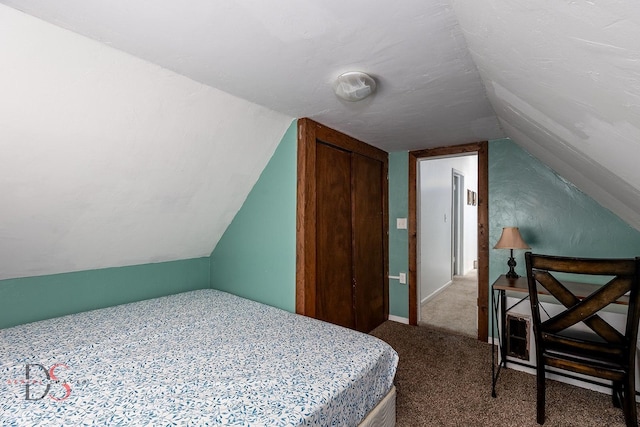 bedroom featuring lofted ceiling, carpet, and a closet