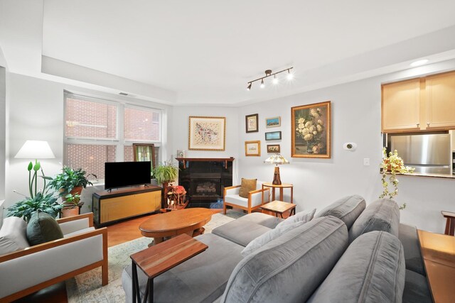 living room featuring a fireplace and wood finished floors