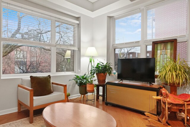 sitting room featuring plenty of natural light, light wood-style flooring, and baseboards