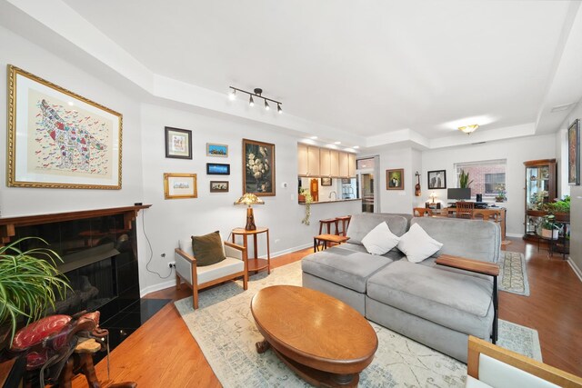 living area with a raised ceiling, rail lighting, a fireplace with flush hearth, wood finished floors, and baseboards