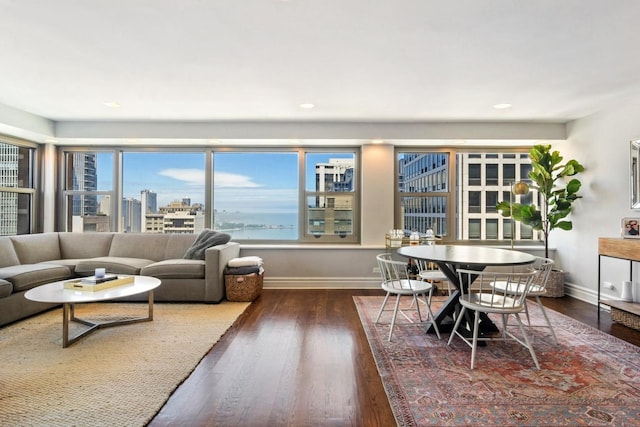 living area featuring a city view, wood finished floors, and baseboards