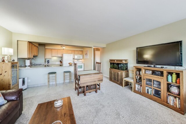 living area featuring light colored carpet