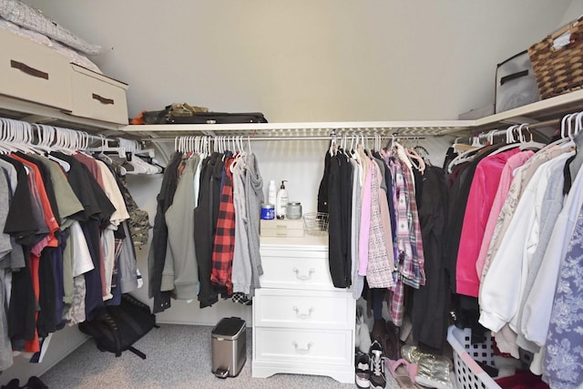 spacious closet with carpet floors