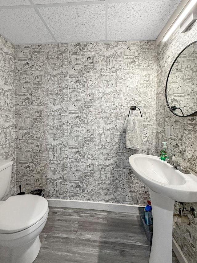 bathroom featuring toilet, baseboards, a drop ceiling, and wood finished floors