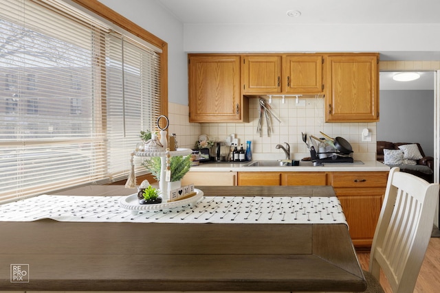 kitchen featuring tasteful backsplash, light countertops, a sink, and wood finished floors