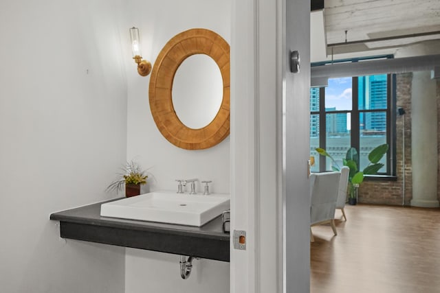 bathroom with a sink and wood finished floors