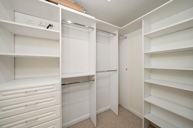 spacious closet featuring light colored carpet